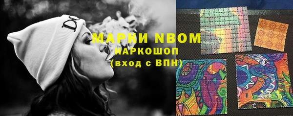 шишки Алексин