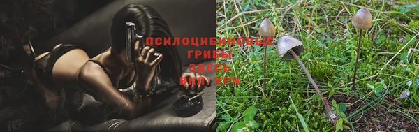 ALPHA PVP Абинск