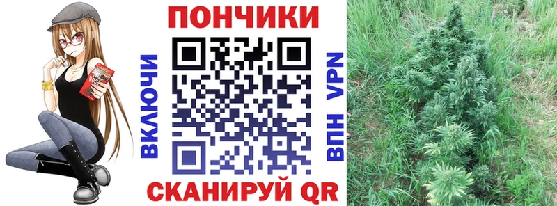 МАРИХУАНА планчик  Вилюйск 